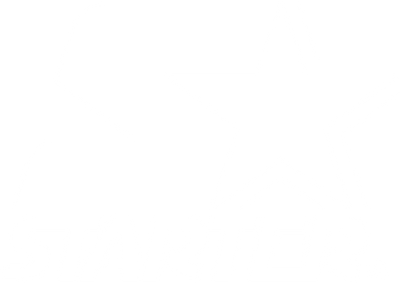 Starter – OFFICIAL WEBSITE STARTER