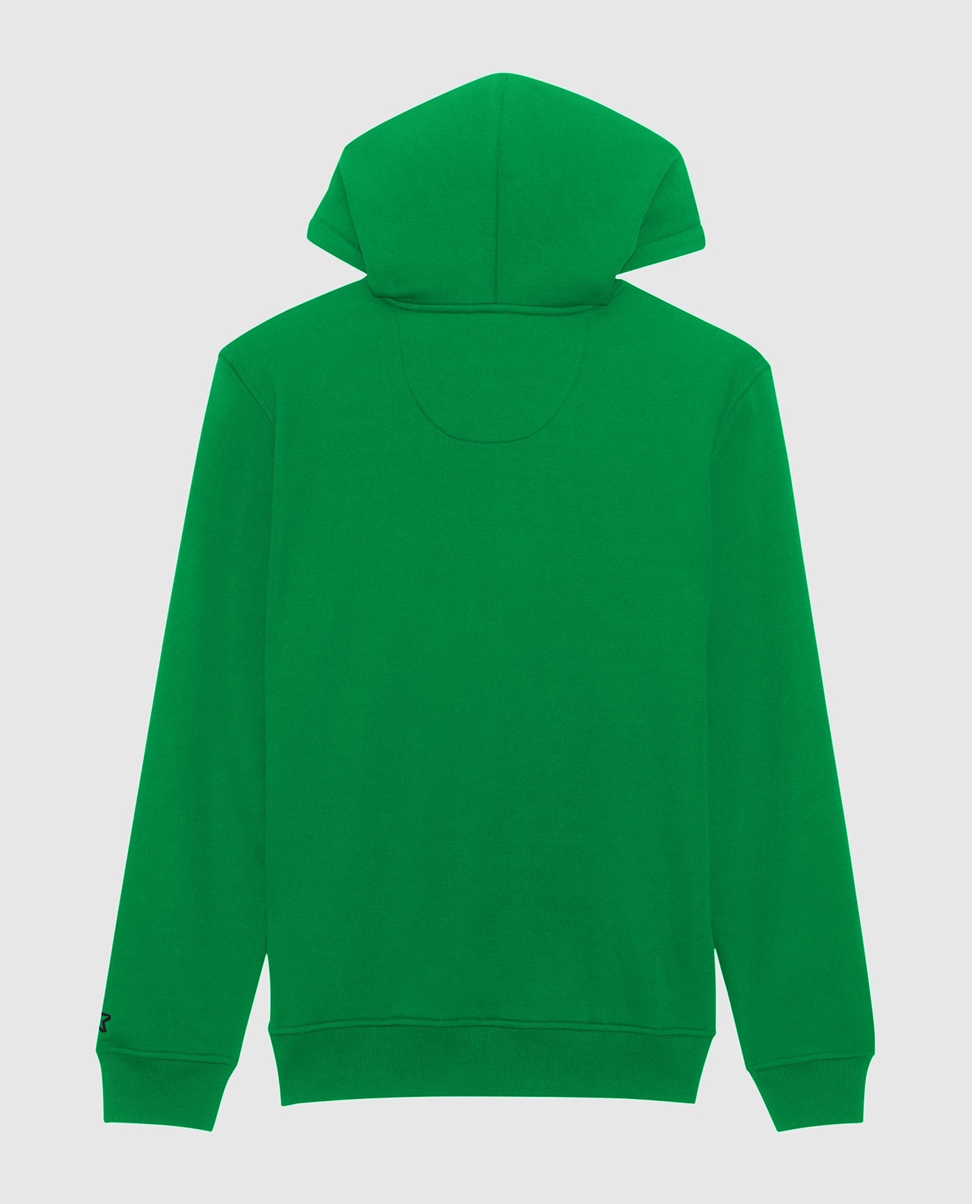 Back of Starter Jimmy Pullover Hoodie Green | Green