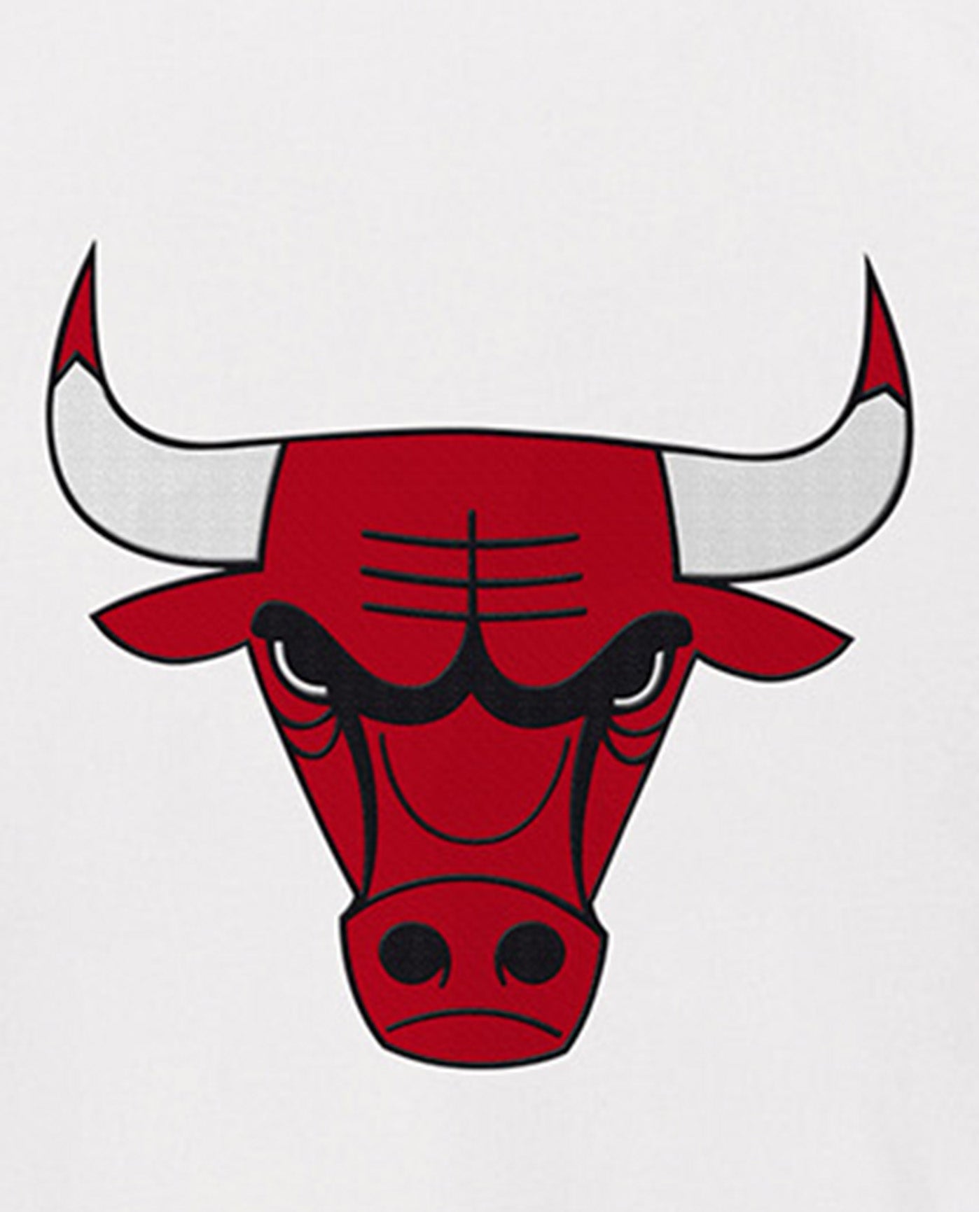 Team Logo On Back Of Chicago Bulls Breakaway Nylon Half-Zip Jacket | White
